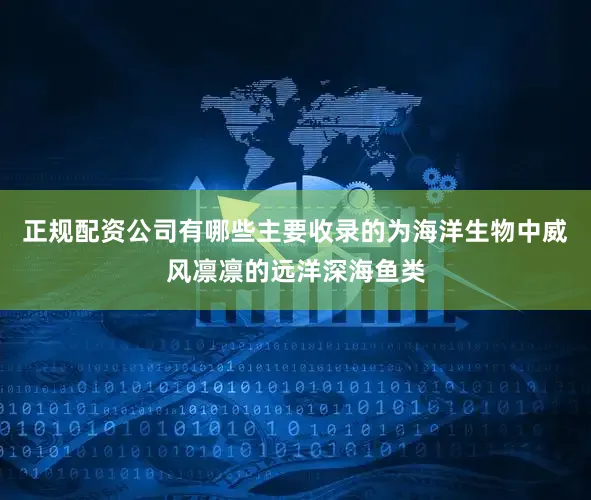 正规配资公司有哪些主要收录的为海洋生物中威风凛凛的远洋深海鱼类